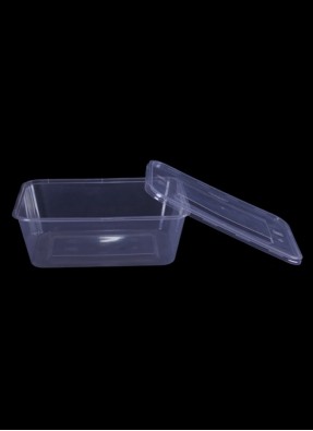 Elite Rectangle container 750-grams pack of 10