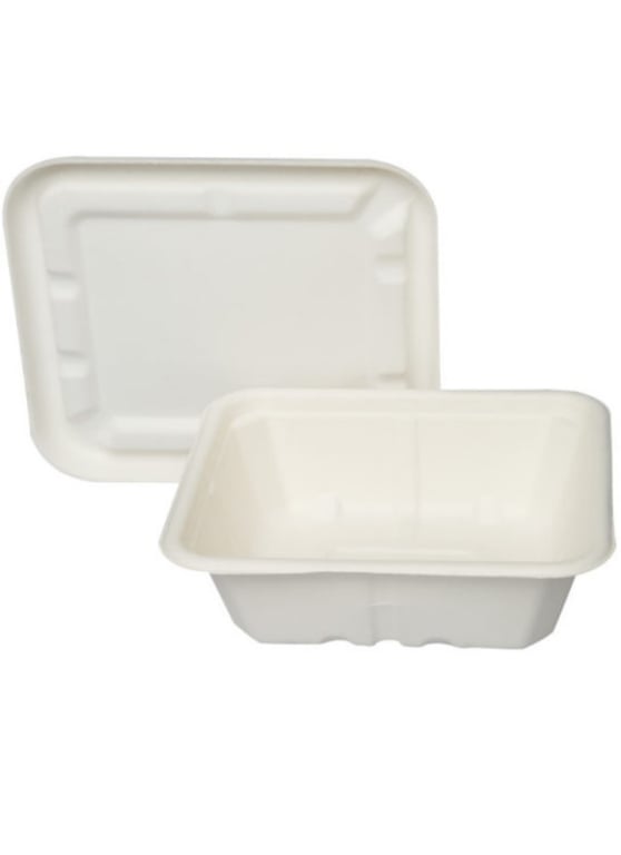 Biodegradable Packing Box 750 ml pack of 50