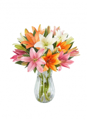 Mixed Lilies In a Vase
