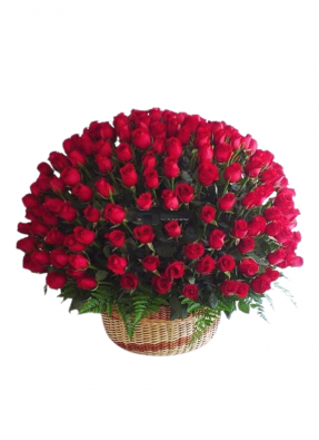 Extreme Red Roses Basket