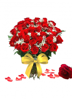 Gratitude Blooms Red Roses Bouquet